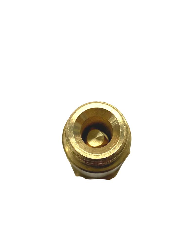 Check Valve 3/8 Demicol